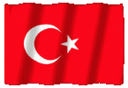 Türkçe